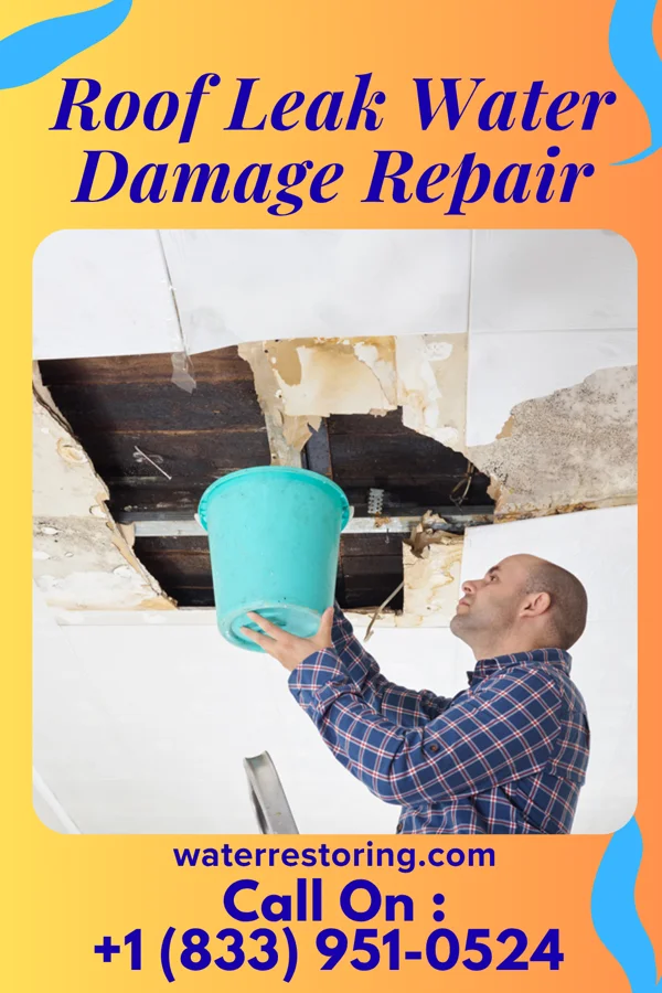 Roof Leak Water Damage Repair in Lonoke, AR